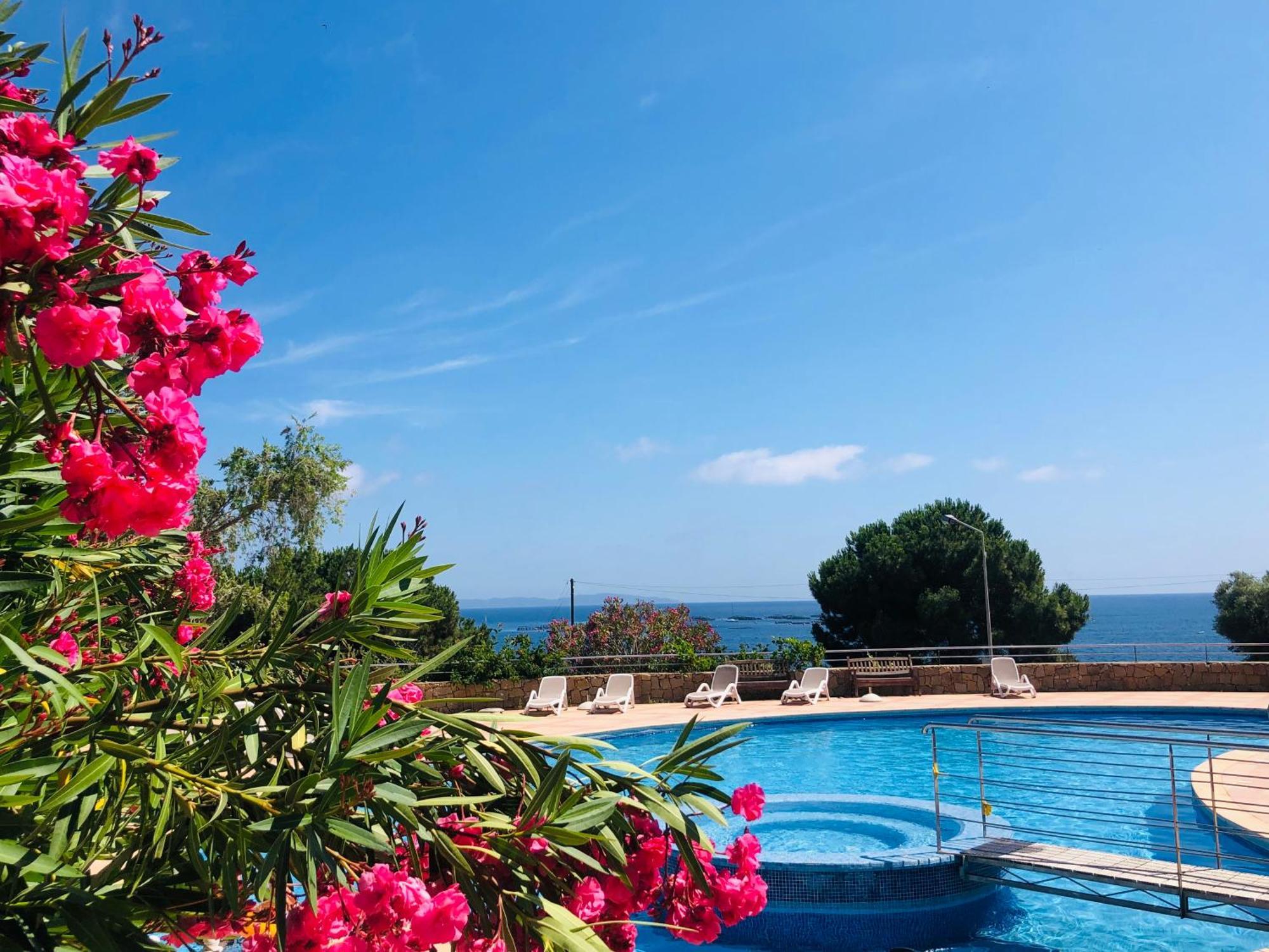 Superbe T2 Vue Mer - Piscine & Plage A 100M Ajaccio  Ngoại thất bức ảnh
